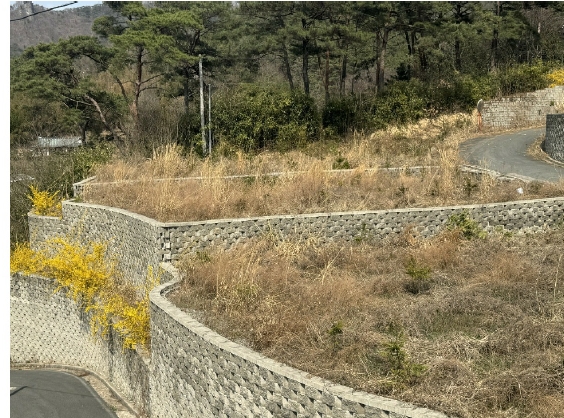 전라남도 화순군 도곡면 원화리 167-23 전 경매 사진 81