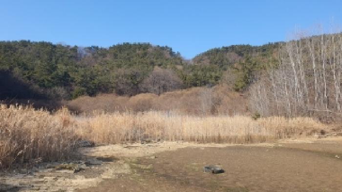 경상남도 창원시 마산합포구 진동면 다구리 168 외 4필지 답 경매 사진 1