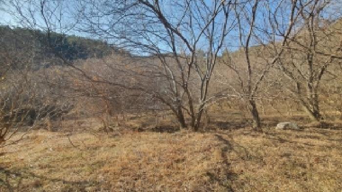 경상남도 창원시 마산합포구 진동면 다구리 168 외 4필지 답 경매 사진 2