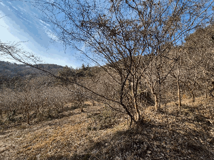 경상남도 창원시 마산합포구 진동면 다구리 168 외 4필지 답 경매 사진 12