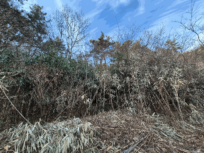 경상남도 창원시 마산합포구 진동면 다구리 168 외 4필지 답 경매 사진 14
