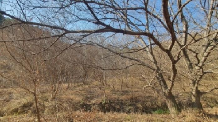 경상남도 창원시 마산합포구 진동면 다구리 168 외 4필지 답 경매 사진 3