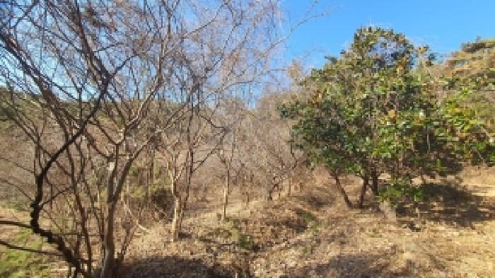 경상남도 창원시 마산합포구 진동면 다구리 168 외 4필지 답 경매 사진 5
