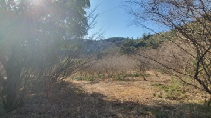 경상남도 창원시 마산합포구 진동면 다구리 168 외 4필지 답 경매 사진 6