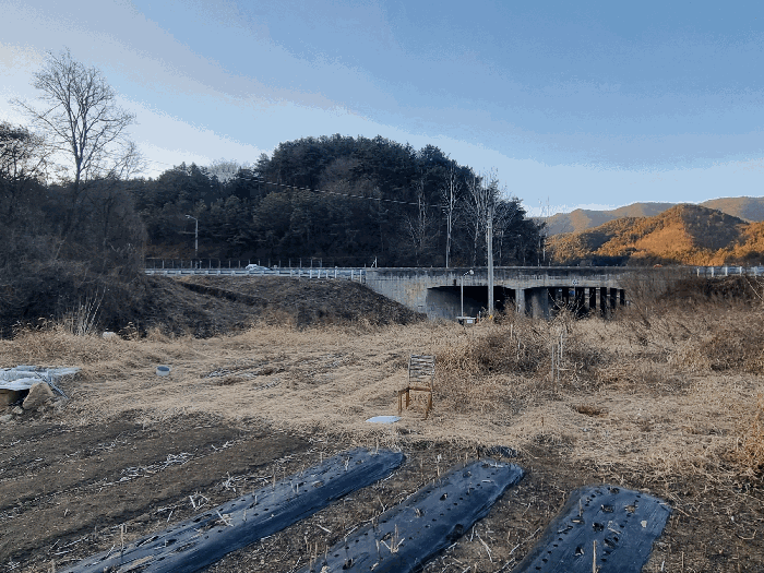 전라남도 곡성군 삼기면 월경리 232-1 전 경매 사진 11
