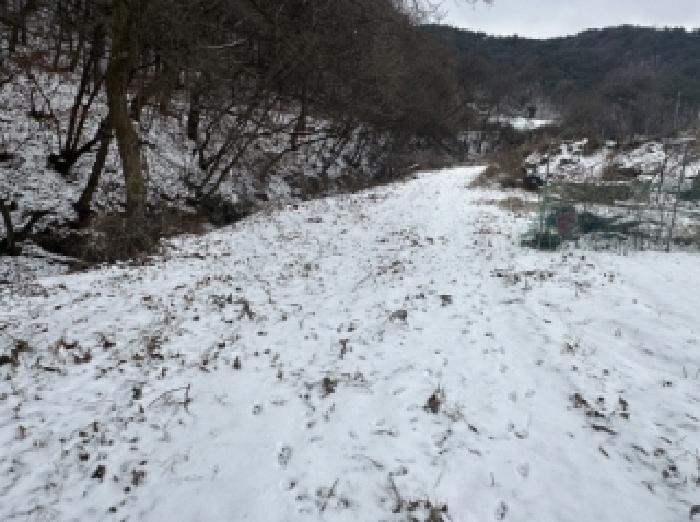 충청북도 보은군 속리산면 북암리 213 외 3필지 근린생활시설 경매 사진 16