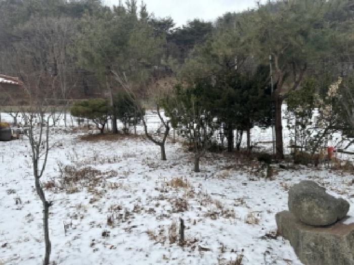 충청북도 보은군 속리산면 북암리 213 외 3필지 근린생활시설 경매 사진 10