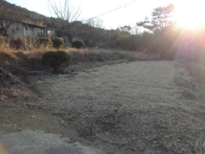 대구광역시 달성군 옥포읍 교항리 2831 답 경매 사진 12