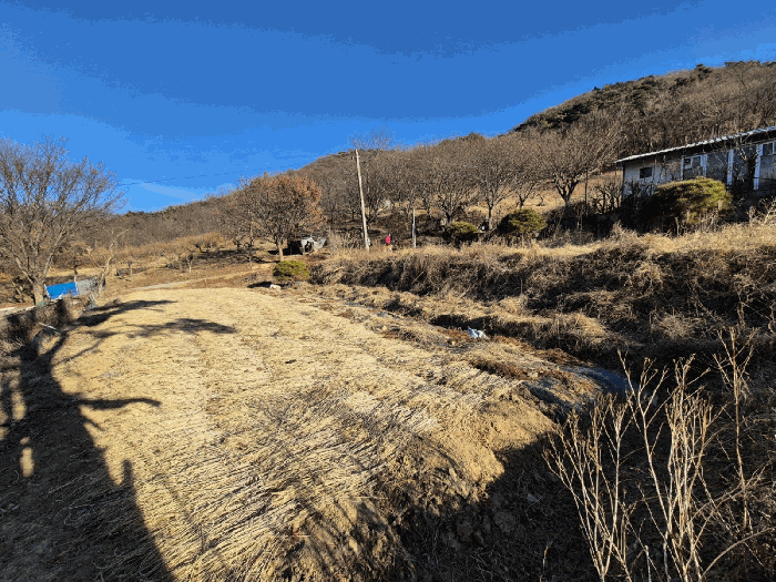 대구광역시 달성군 옥포읍 교항리 2831 답 경매 사진 17