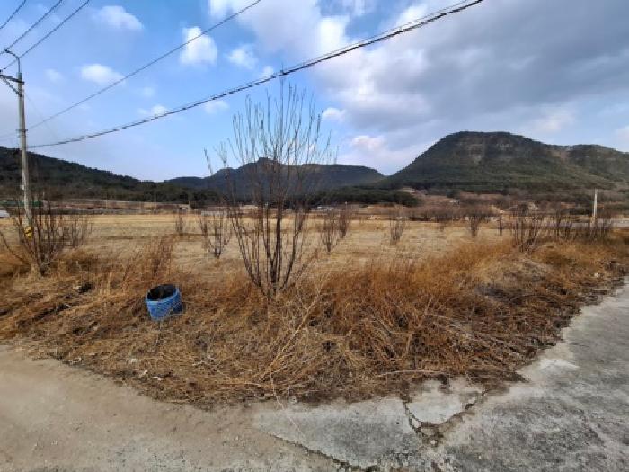 경상남도 산청군 신안면 신안리 109-21 전 경매 사진 26