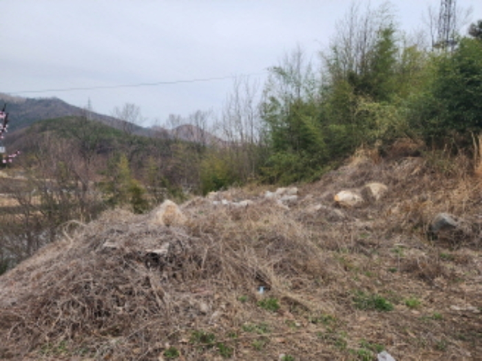 울산광역시 울주군 웅촌면 통천리 786-9 임야 경매 사진 19