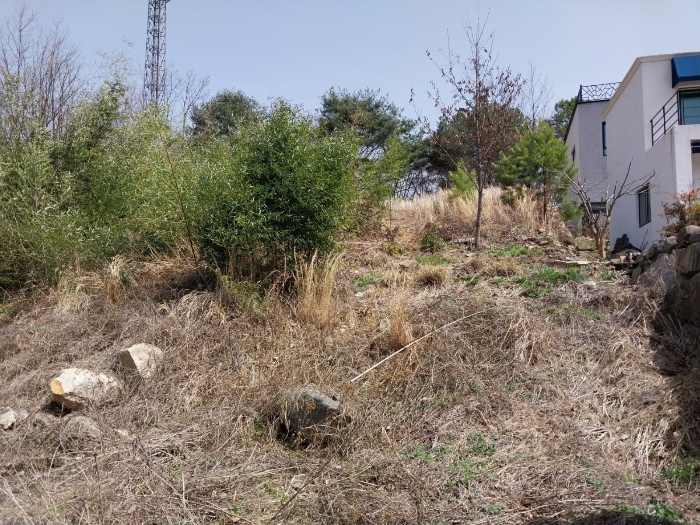 울산광역시 울주군 웅촌면 통천리 786-9 임야 경매 사진 20