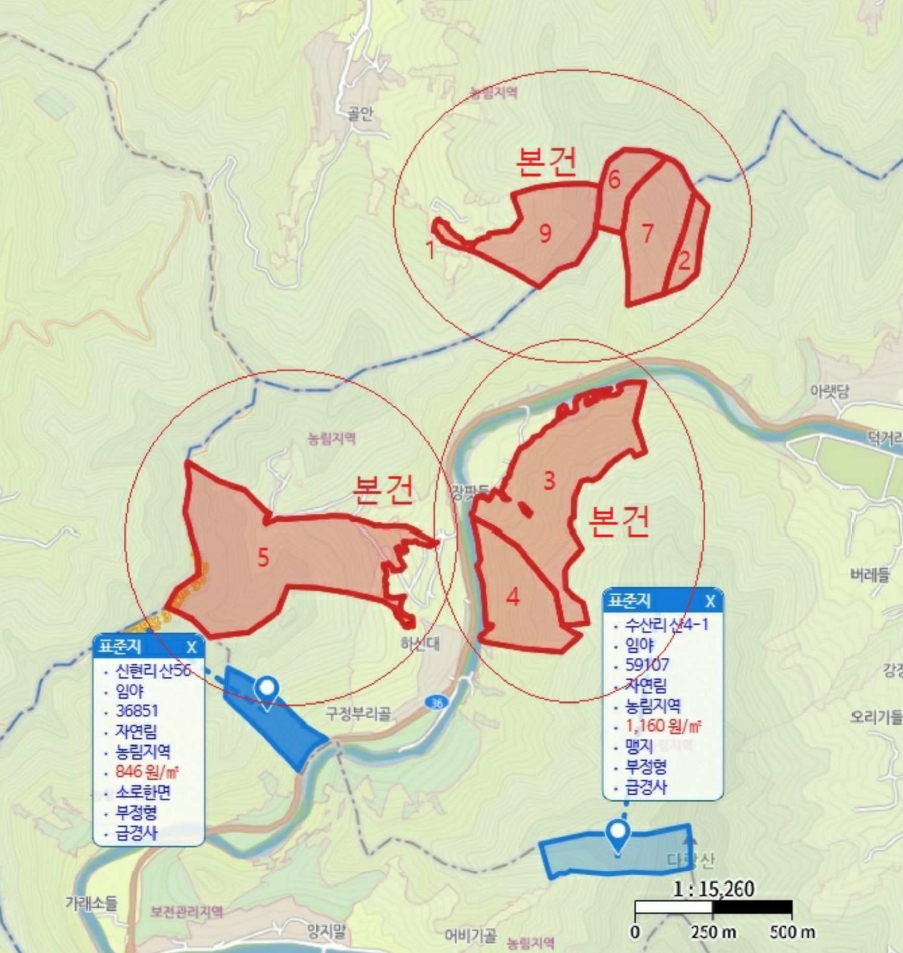 충청북도 제천시 덕산면 신현리 산52-1 임야 경매 사진 181