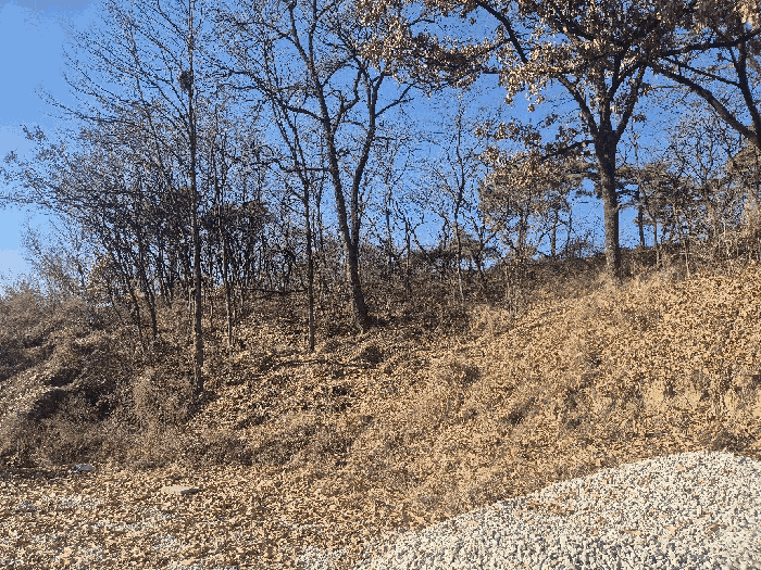 충청북도 청주시 청원구 북이면 금암리 99-5 전 경매 사진 4