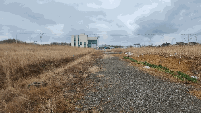 경상북도 포항시 남구 동해면 신정리 519-5 답 경매 사진 13