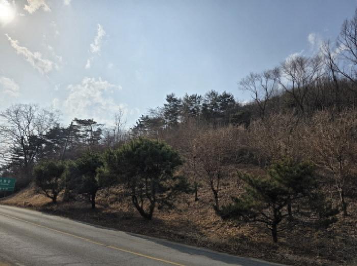 경상북도 성주군 용암면 용정리 산75-2 임야 경매 사진 10