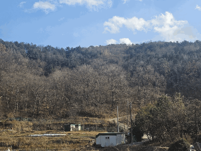 전라남도 순천시 상사면 비촌리 385 전 경매 사진 5