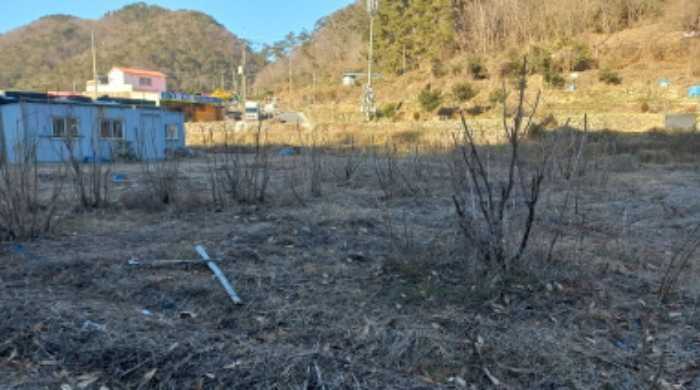 경상남도 거제시 장목면 외포리 1569 답 경매 사진 2
