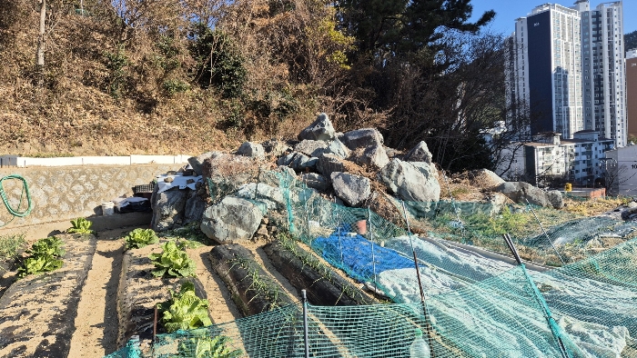 경상남도 거제시 옥포동 1118-3 외 1필지 임야 경매 사진 4