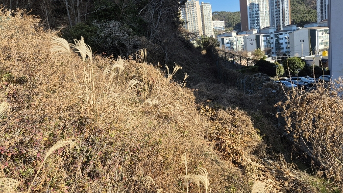 경상남도 거제시 옥포동 1118-3 외 1필지 임야 경매 사진 5