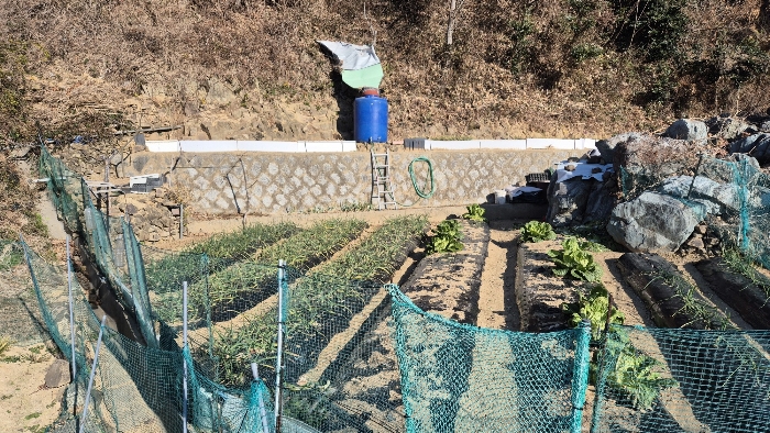 경상남도 거제시 옥포동 1118-3 외 1필지 임야 경매 사진 6