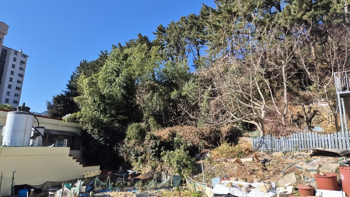경상남도 거제시 옥포동 1122 외 2필지 답 경매 사진 8
