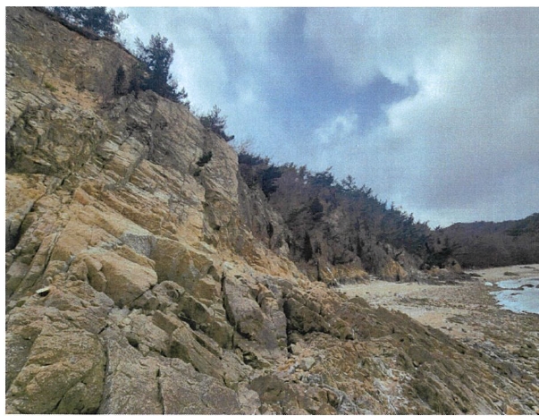 인천광역시 중구 무의동 산267-1 임야 경매 사진 13