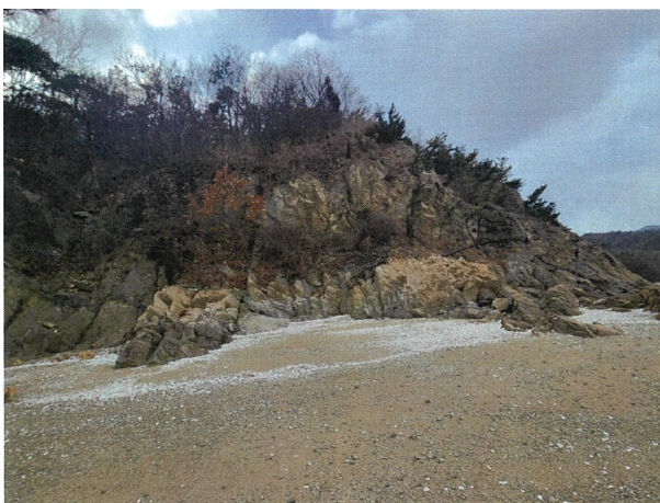 인천광역시 중구 무의동 산267-2 임야 경매 사진 13
