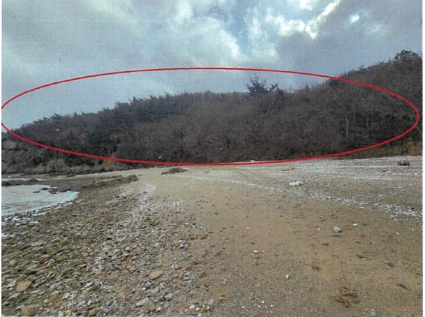 인천광역시 중구 무의동 산267-3 임야 경매 사진 12