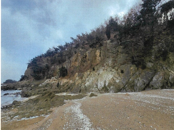 인천광역시 중구 무의동 산267-3 임야 경매 사진 13