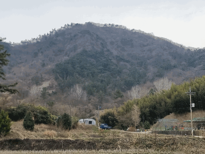 전라남도 나주시 봉황면 운곡리 산136 임야 경매 사진 44