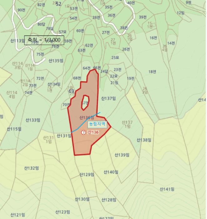 전라남도 나주시 봉황면 운곡리 산136 임야 경매 사진 46