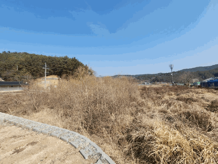 경상남도 함안군 산인면 입곡리 874-1 답 경매 사진 21