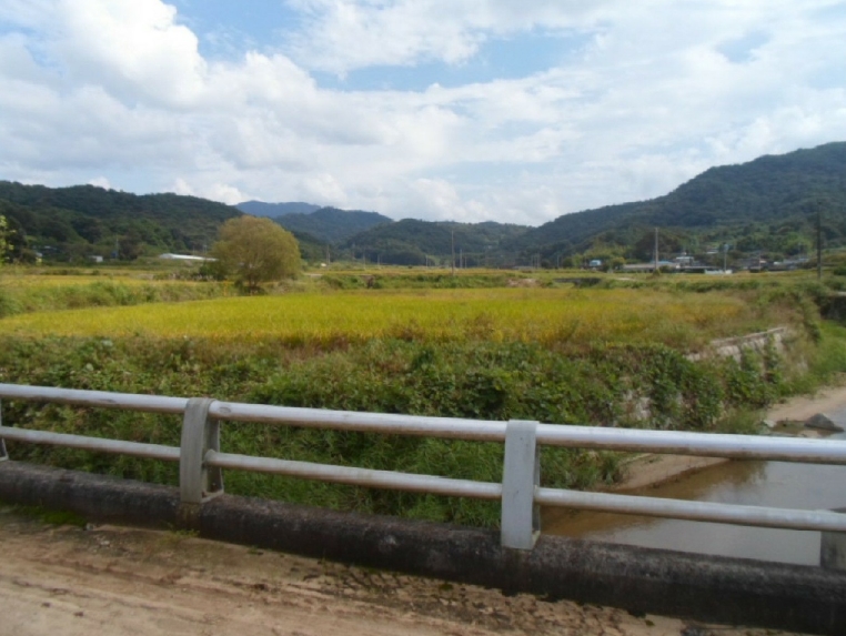 전라남도 곡성군 겸면 산정리 287-3 답 경매 사진 4