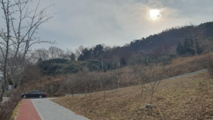 경상남도 창원시 마산합포구 가포동 산110-2 임야 경매 사진 1