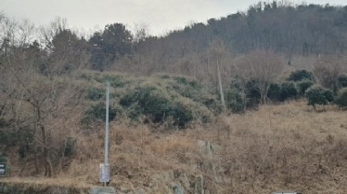 경상남도 창원시 마산합포구 가포동 산110-2 임야 경매 사진 2