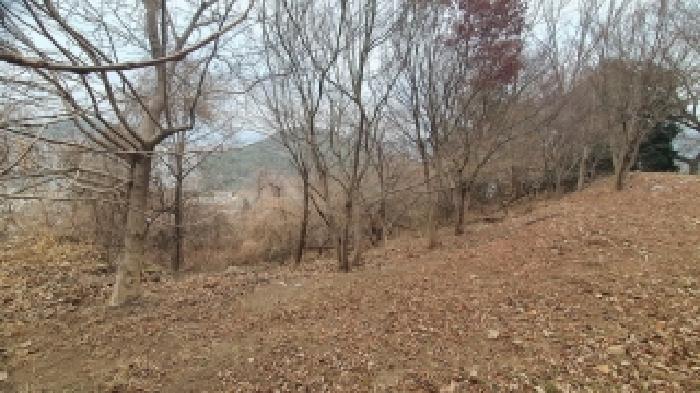 경상남도 창원시 마산합포구 가포동 산110-2 임야 경매 사진 3