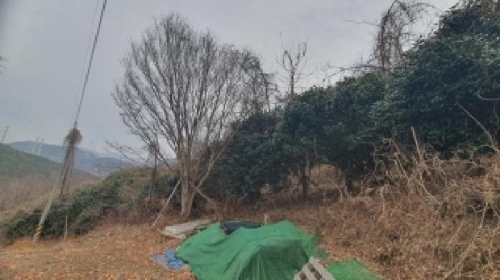 경상남도 창원시 마산합포구 가포동 산110-2 임야 경매 사진 4