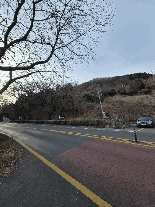 경상남도 창원시 마산합포구 가포동 산110-2 임야 경매 사진 5