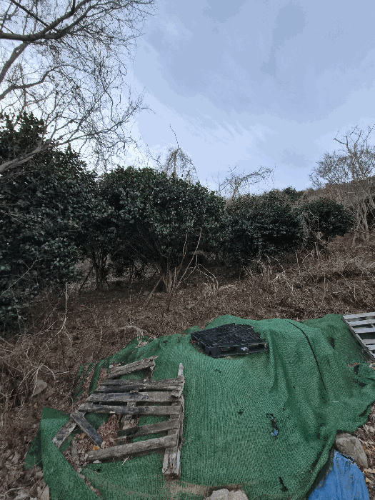 경상남도 창원시 마산합포구 가포동 산110-2 임야 경매 사진 7