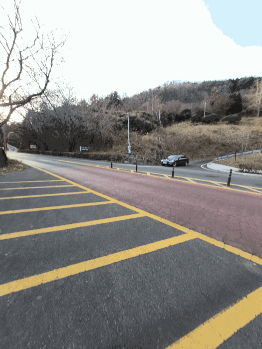 경상남도 창원시 마산합포구 가포동 산110-2 임야 경매 사진 8