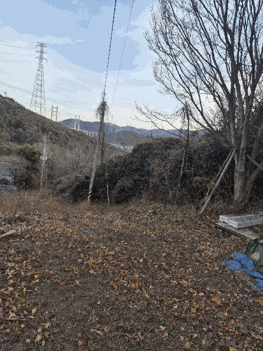 경상남도 창원시 마산합포구 가포동 산110-2 임야 경매 사진 9