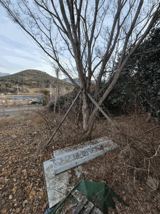 경상남도 창원시 마산합포구 가포동 산110-2 임야 경매 사진 10