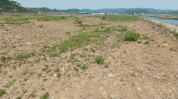 경상남도 사천시 서포면 다평리 1437-3 답 경매 사진 39