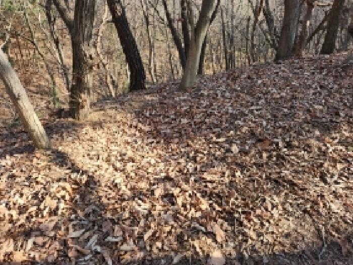 경기도 양주시 남면 신암리 12-14 외 4필지 임야 경매 사진 14
