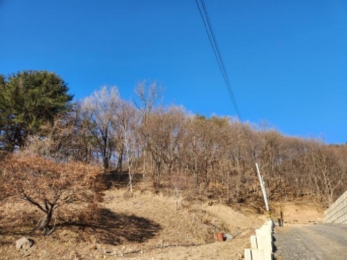 경기도 양주시 남면 신암리 12-14 외 4필지 임야 경매 사진 24