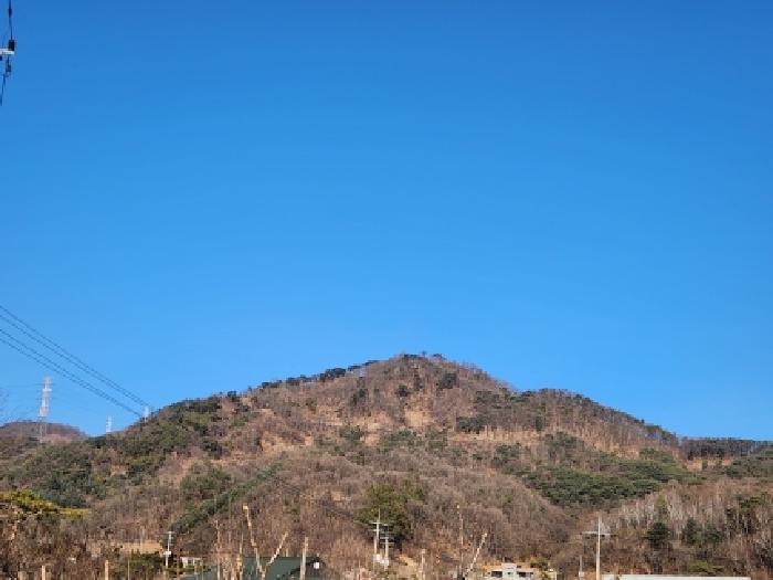 경기도 양주시 남면 신암리 12-14 외 4필지 임야 경매 사진 29