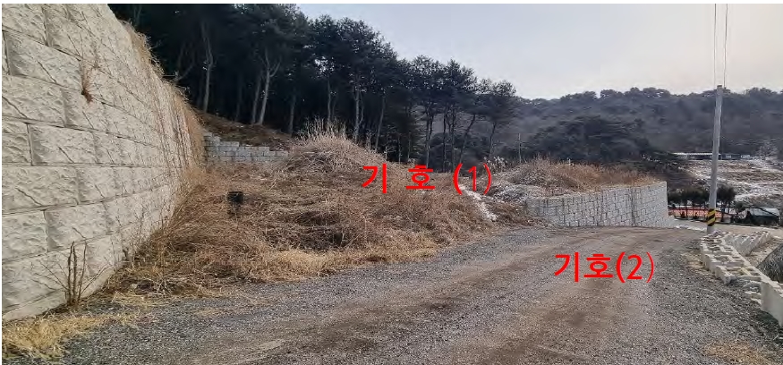 경기도 양주시 남면 신암리 12-14 외 4필지 임야 경매 사진 4
