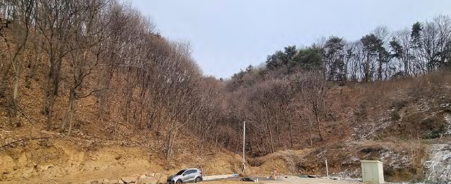 경기도 양주시 남면 신암리 12-14 외 4필지 임야 경매 사진 8