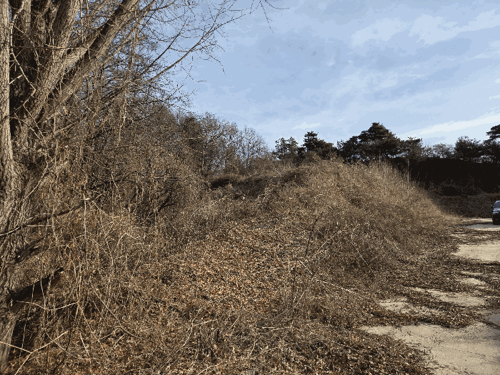 충청북도 청주시 상당구 가덕면 계산리 126-7 외 7필지 대지 경매 사진 17
